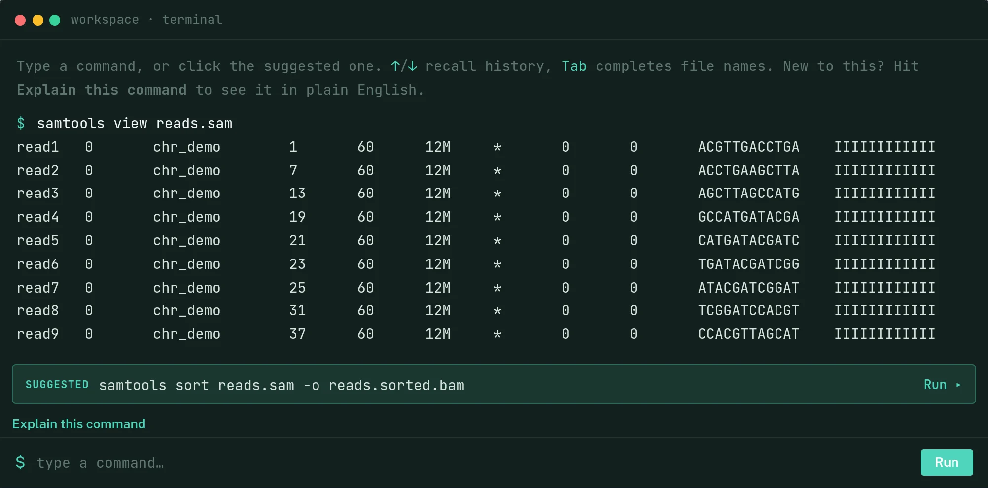 The lesson terminal after running samtools view reads.sam: nine alignment records, then the next suggested command, samtools sort